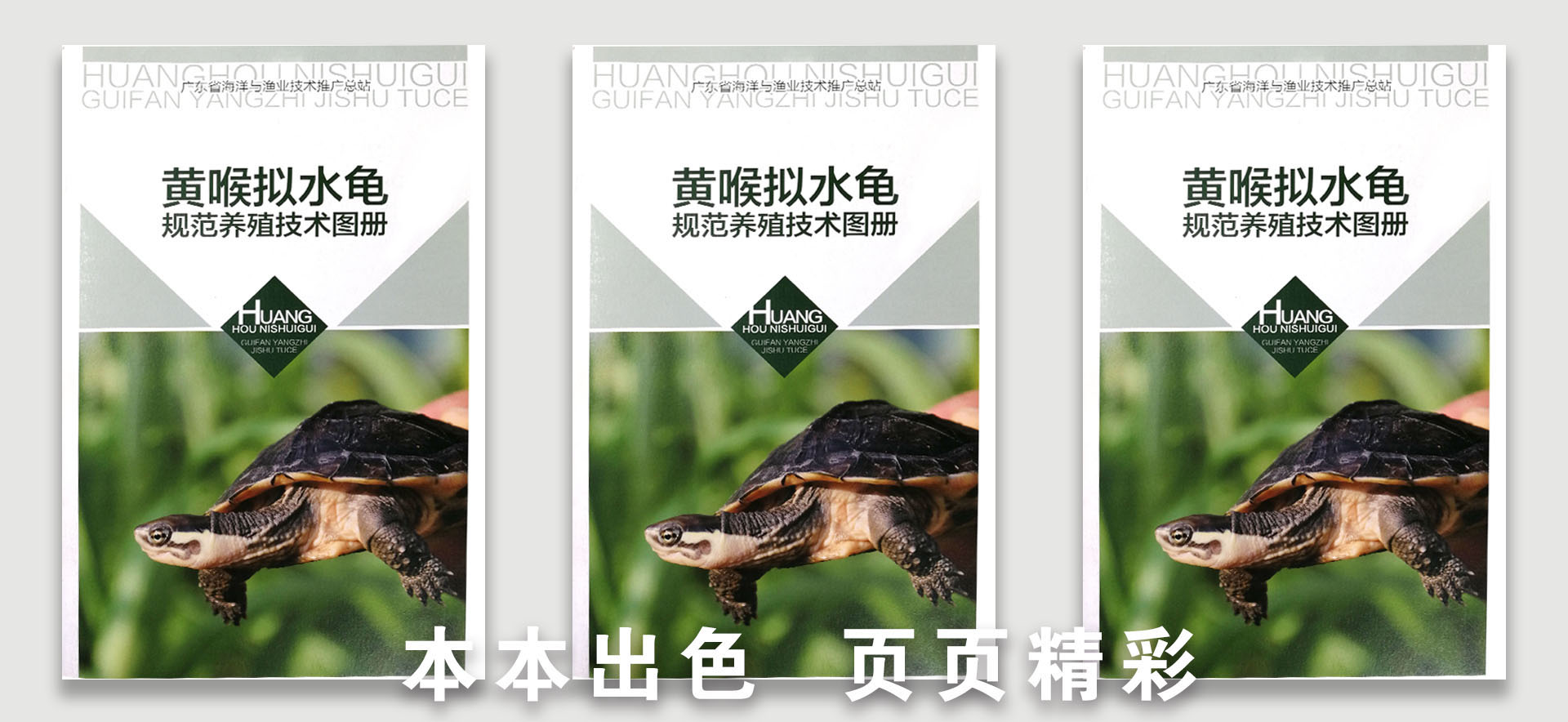 說(shuō)明書(shū)