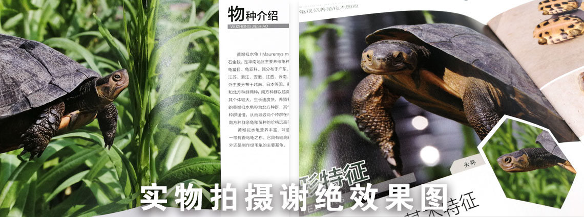 說(shuō)明書(shū)