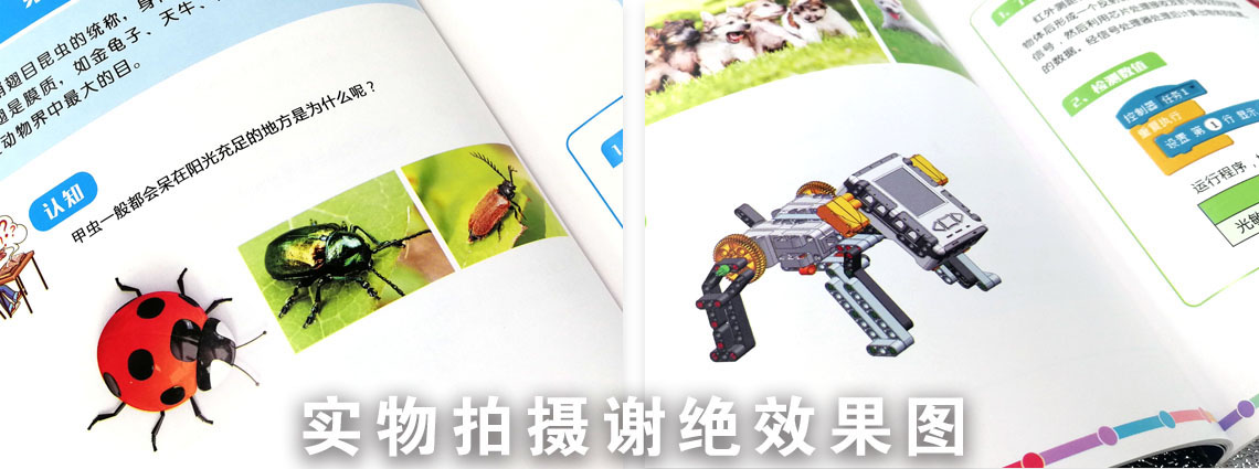 玩具畫冊(cè)詳情頁