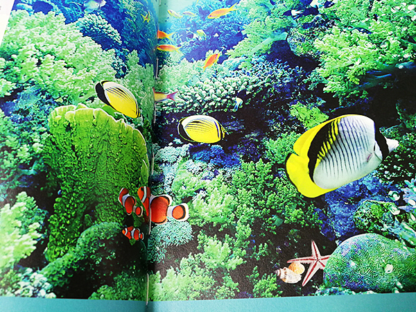 畫(huà)冊(cè)印刷