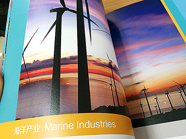 畫(huà)冊(cè)印刷